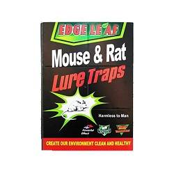 چسب موش کتابی درجه یک